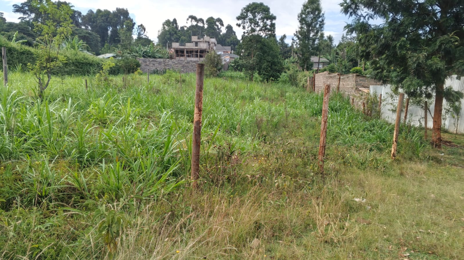 100 BY 100 (1/4 ACRE)