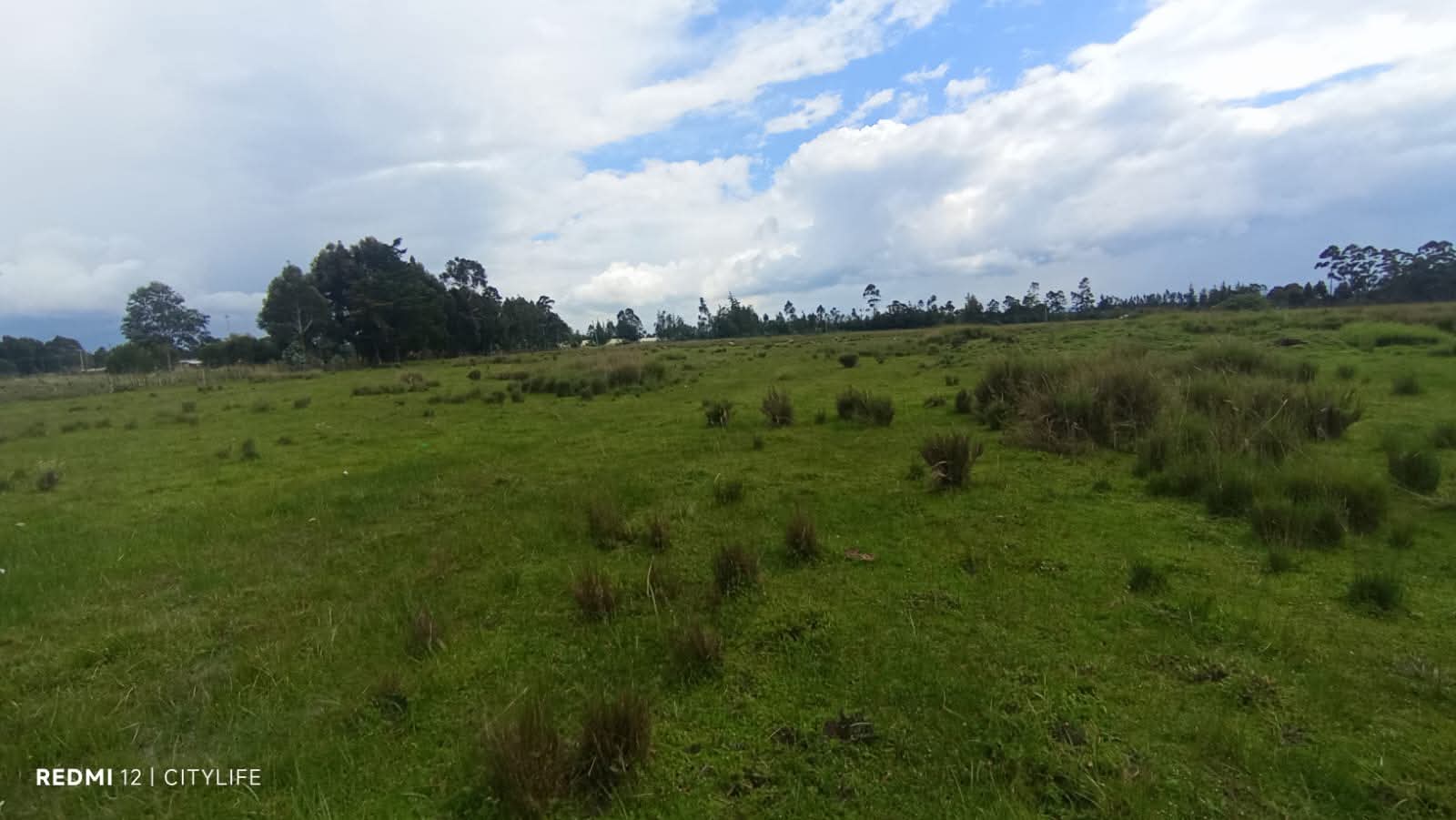 9 ACRES &  6 ACRE BLOCK
