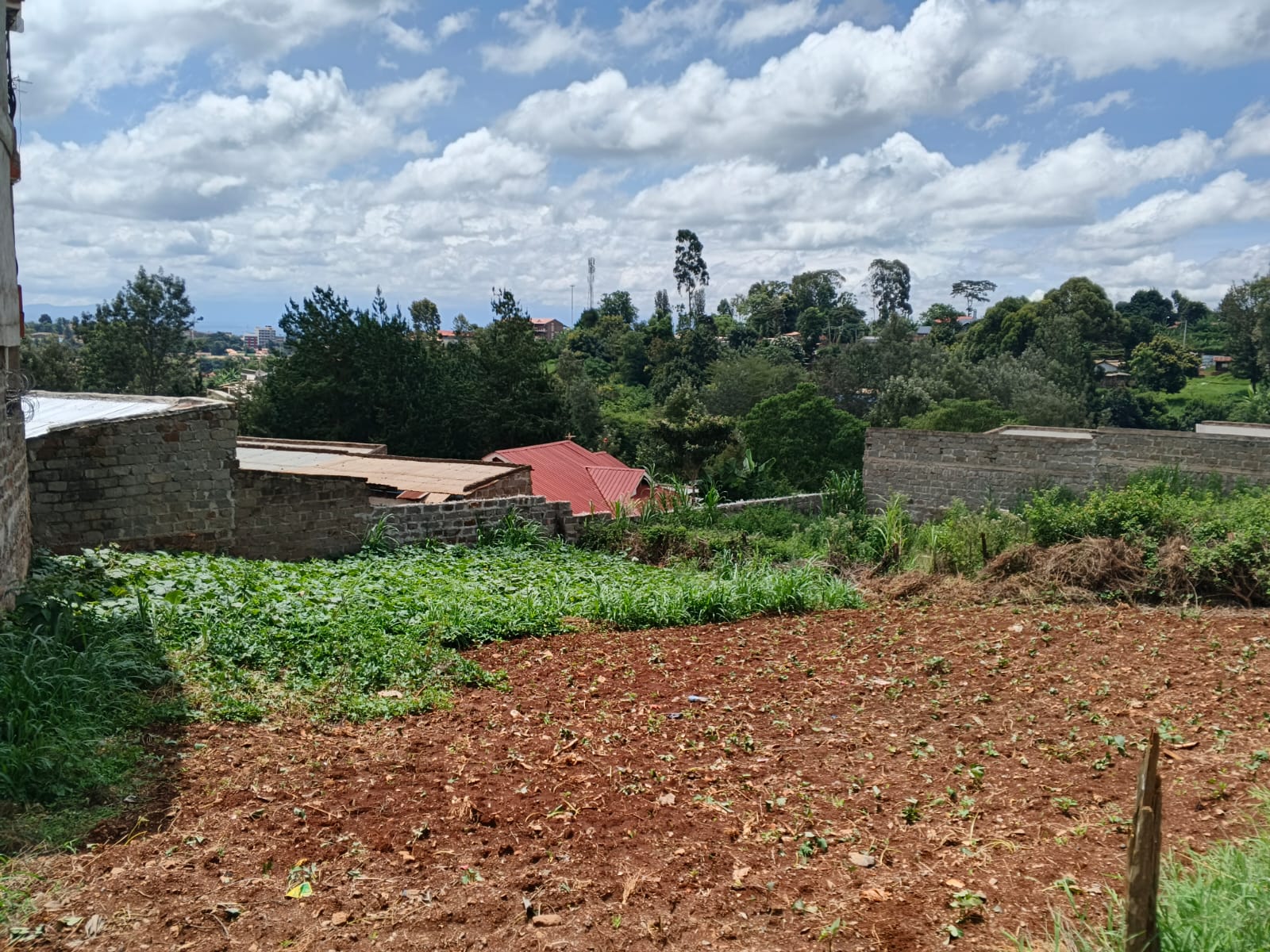 50 BY 100 PLOT(1/8 ACRE)