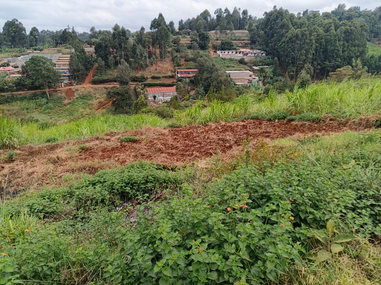 MUMBI ESTATE NYERI