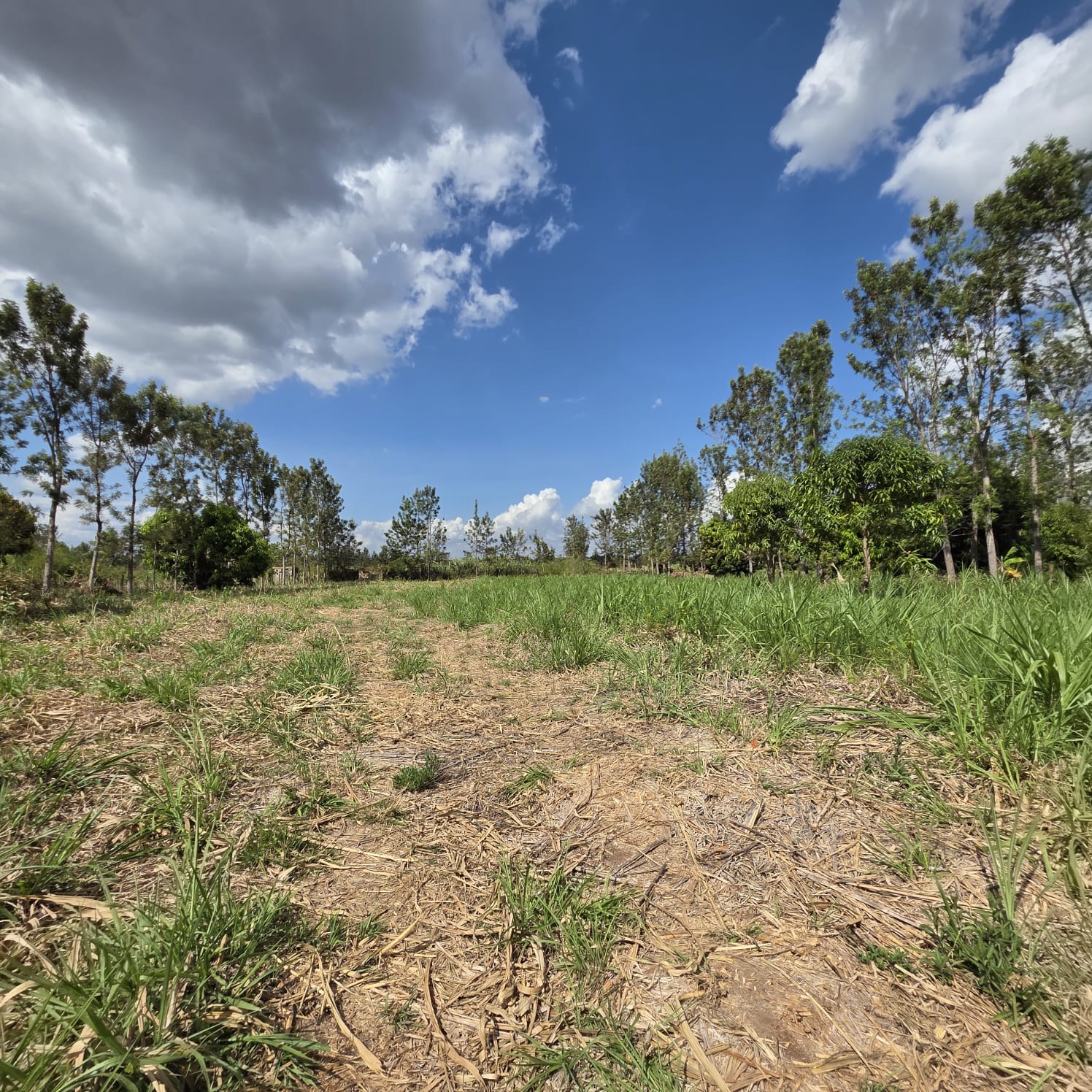 6 ACRES 
