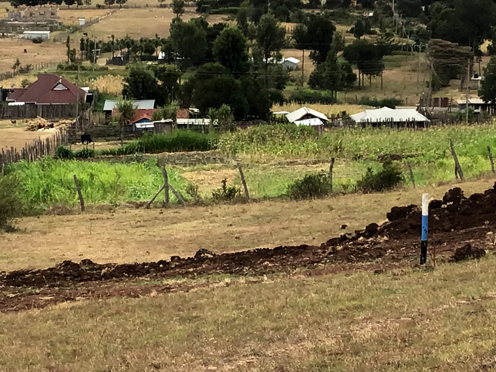 50 BY 100 (1/8 ACRE ) PLOTS
