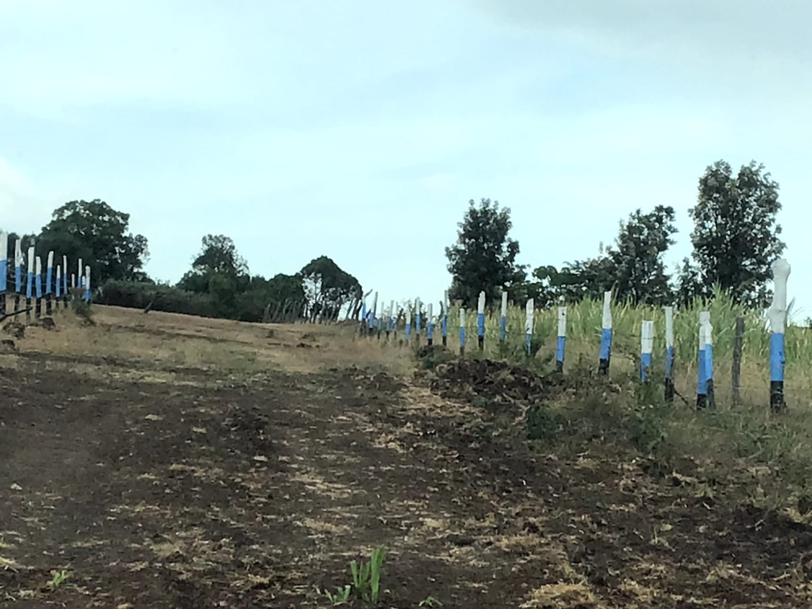 50 BY 100 (1/8 ACRE ) PLOTS