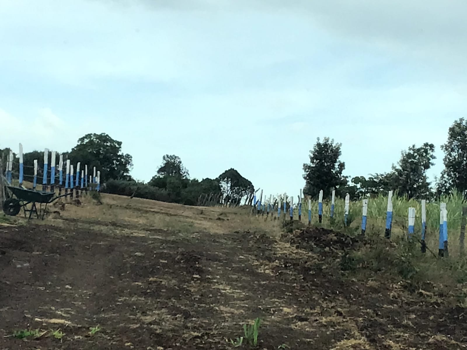 50 BY 100 (1/8 ACRE ) PLOTS