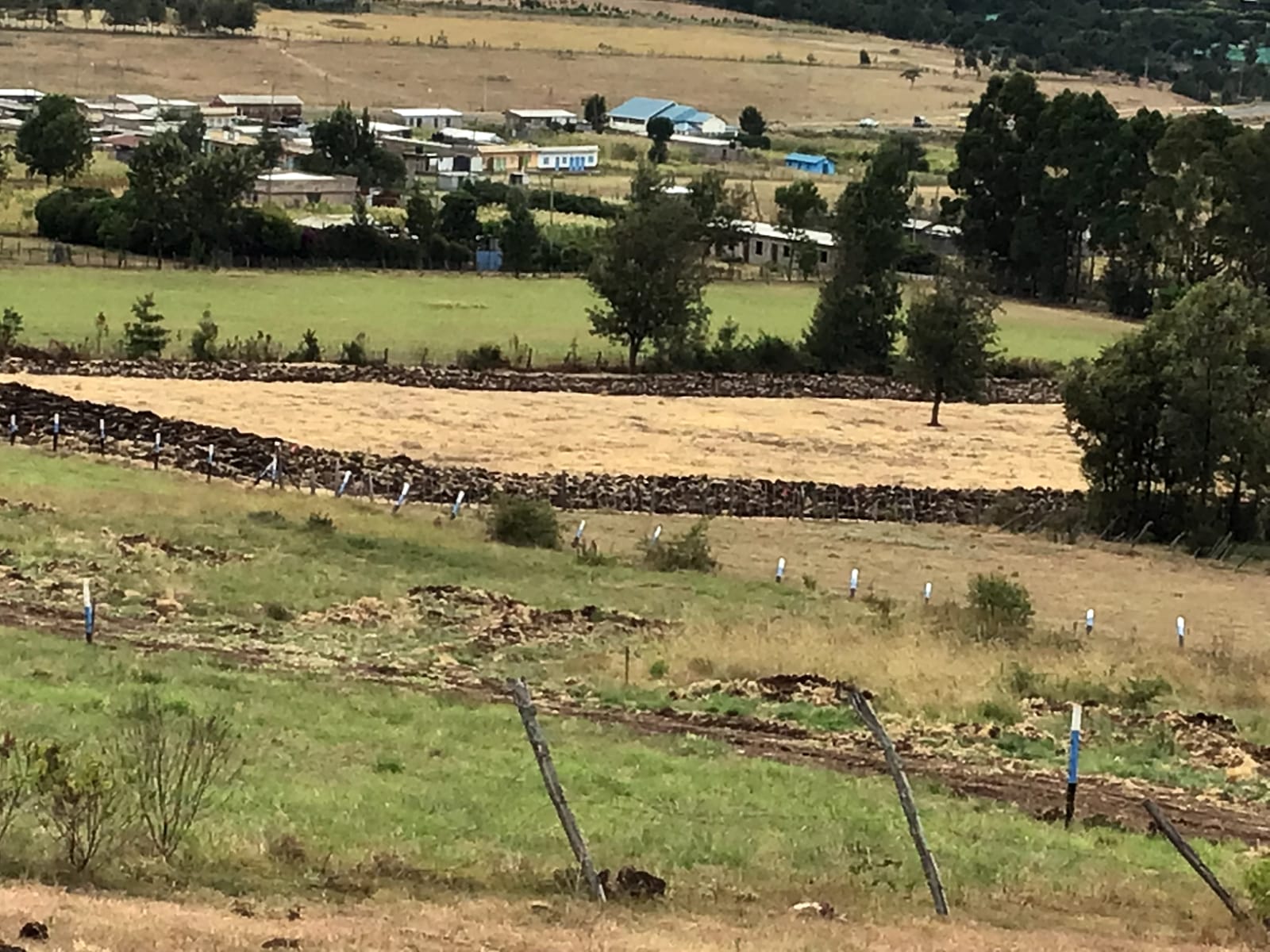50 BY 100 (1/8 ACRE ) PLOTS