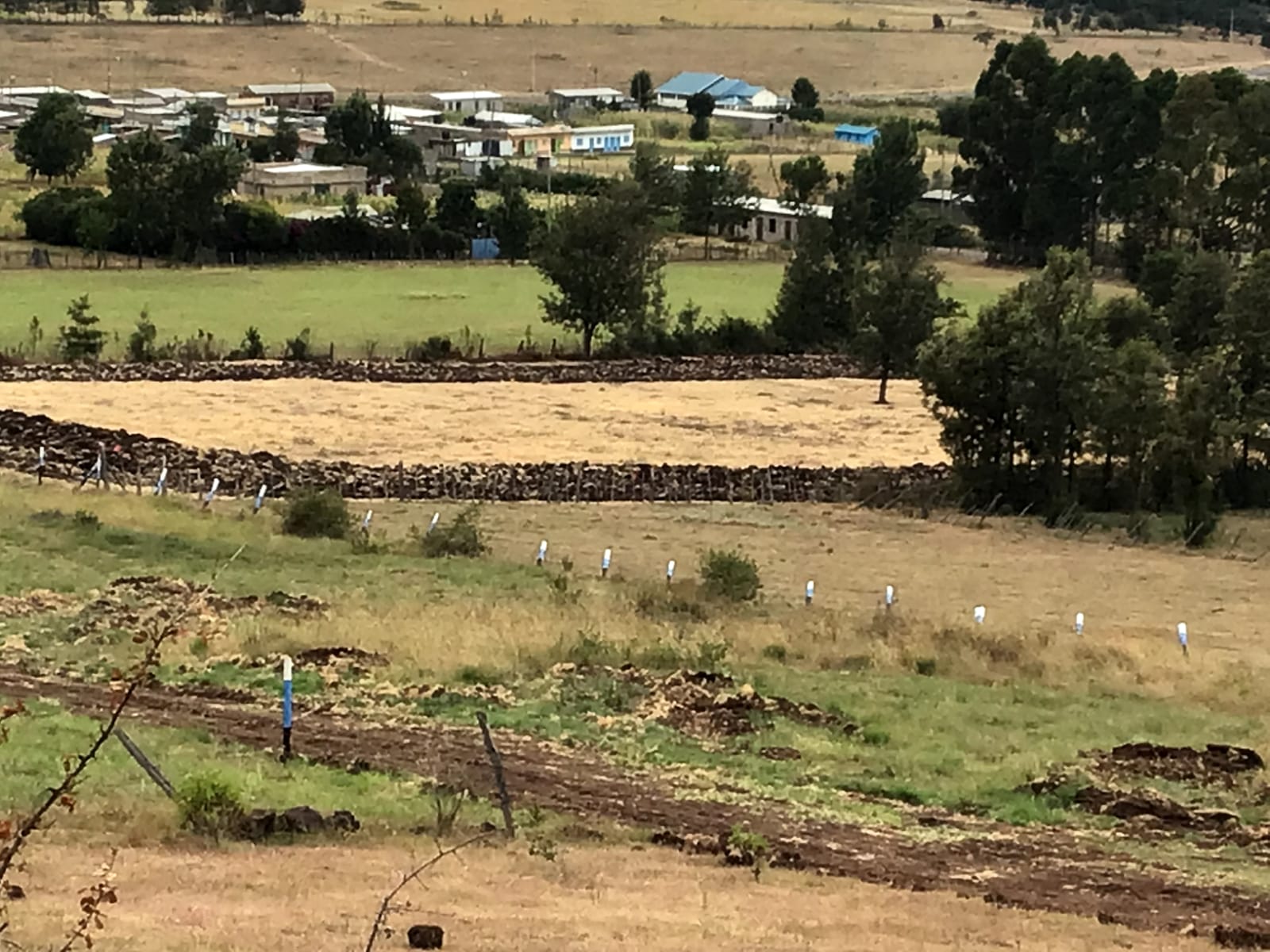 50 BY 100 (1/8 ACRE ) PLOTS