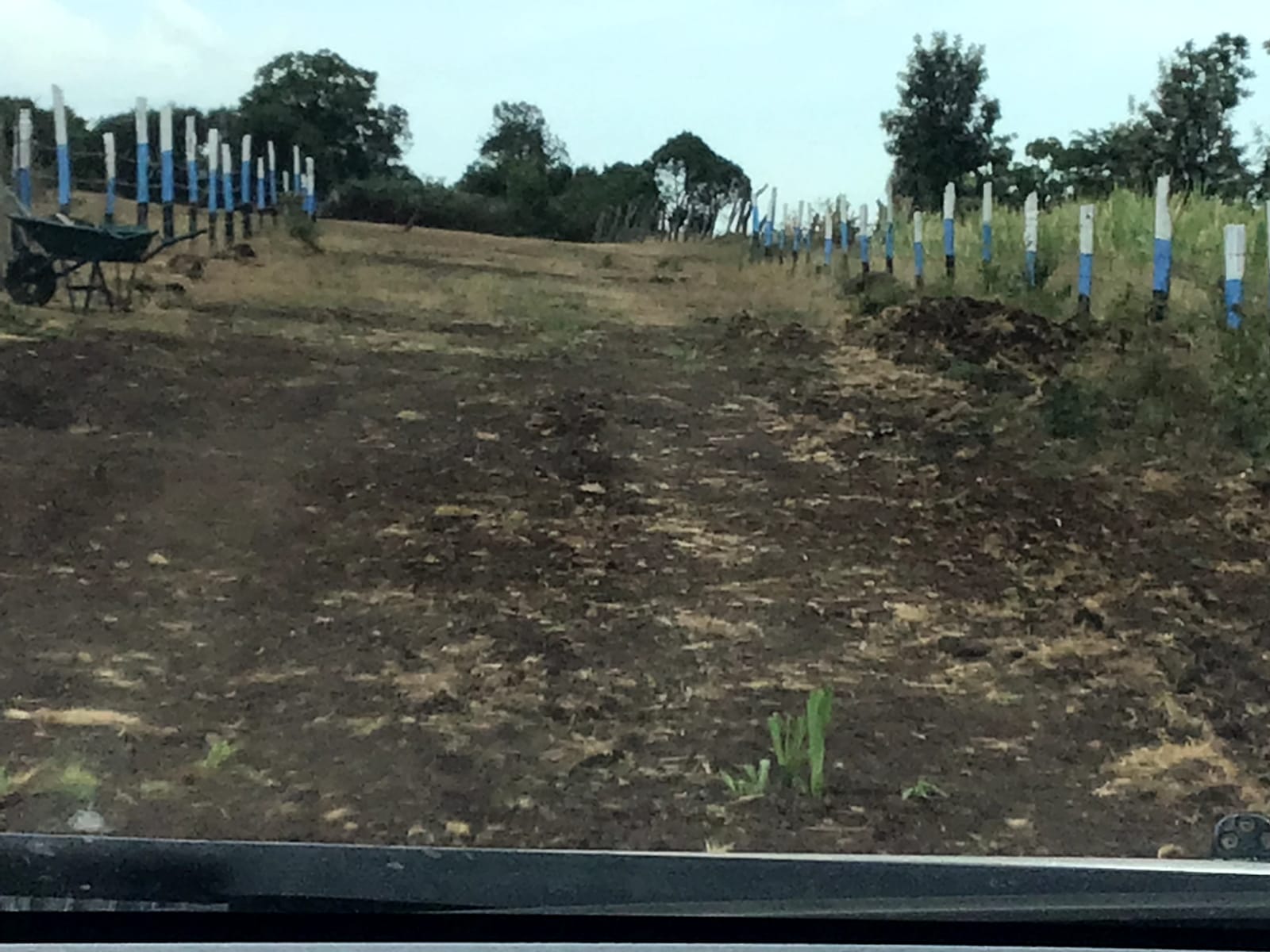50 BY 100 (1/8 ACRE ) PLOTS