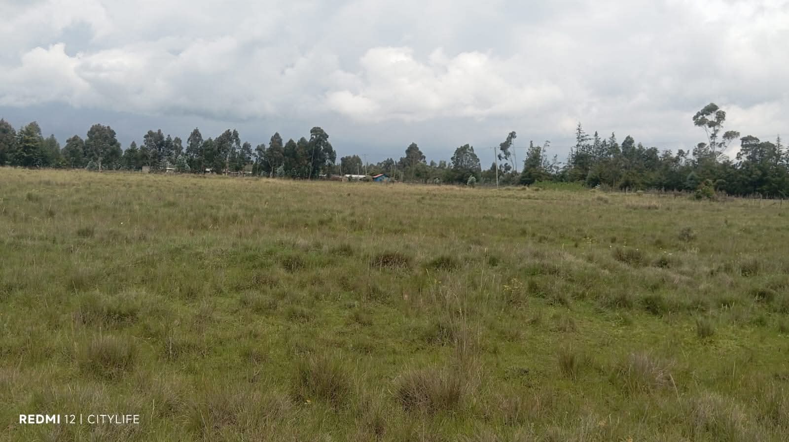 9 ACRES &  6 ACRE BLOCK