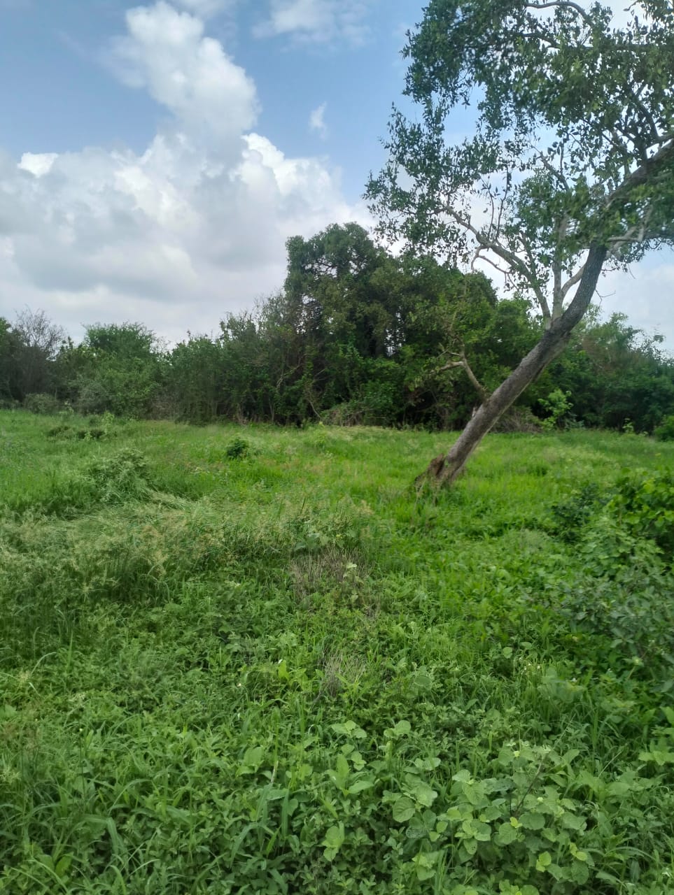6 & 1/2 ACRES