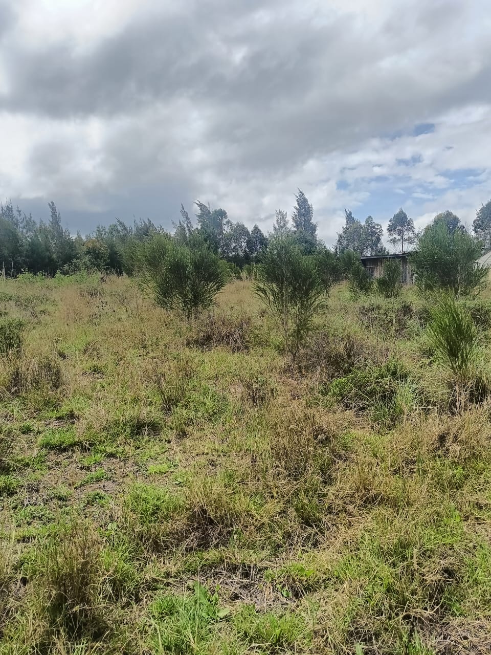 20 ACRES PRIME LAND