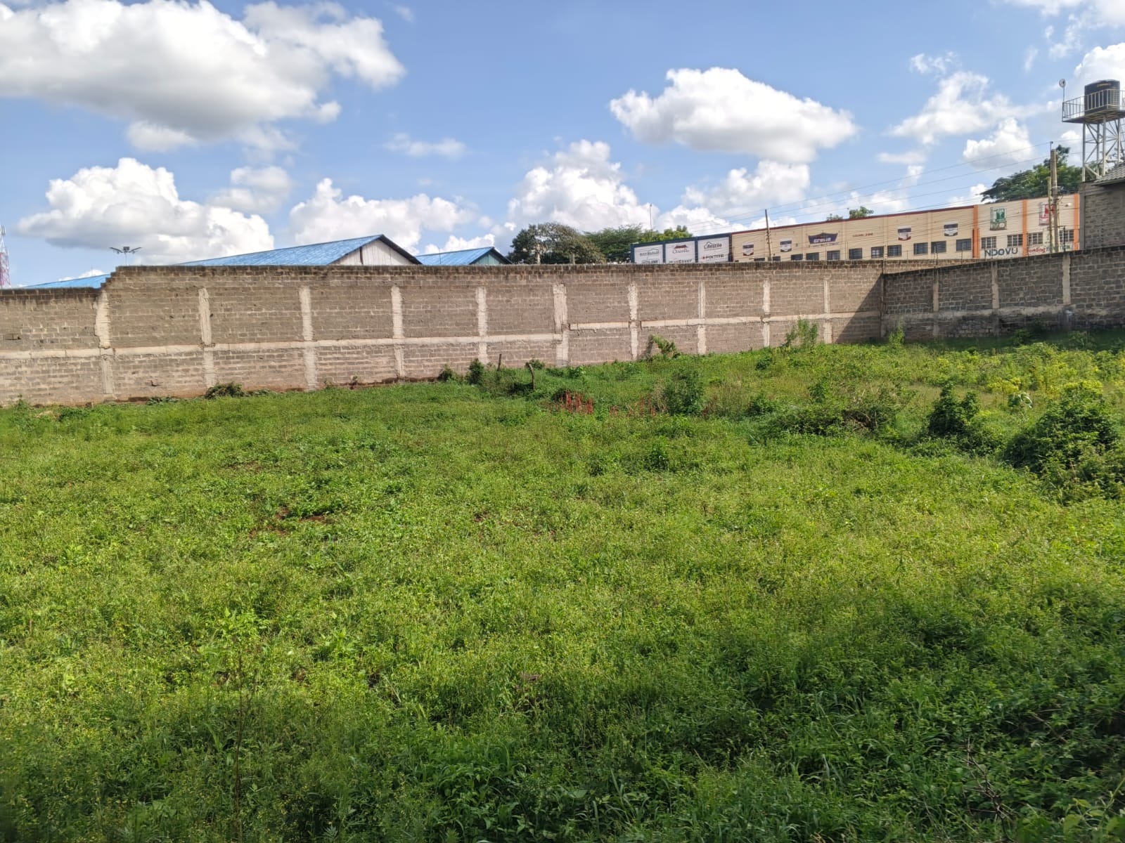 (2) 100 BY 100 PLOT (1/4 ACRE)