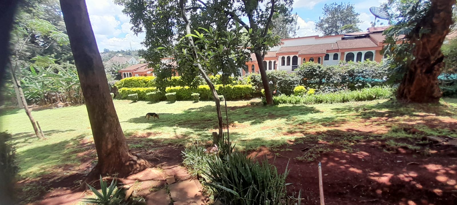 1 ACRE PARCEL OF LAND